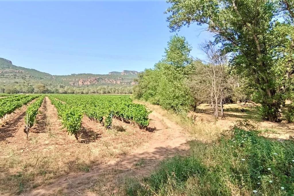 Superbe Villa Cadre Campagne Roquebrune-sur-Argens Exterior foto